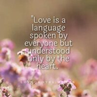 Love Short Quotes in English