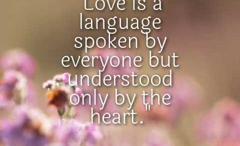 Love Short Quotes in English