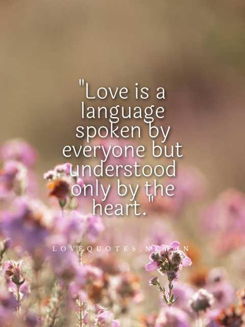 Love Short Quotes in English