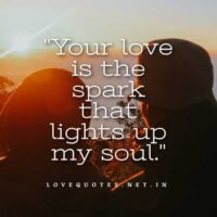 Love Vibes Quotes