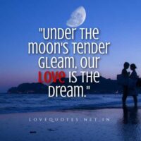 Romantic Moon Quotes