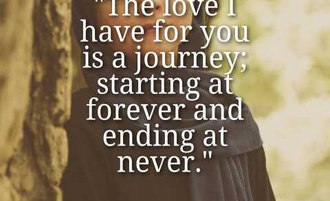 The Love I Have for You Quotes