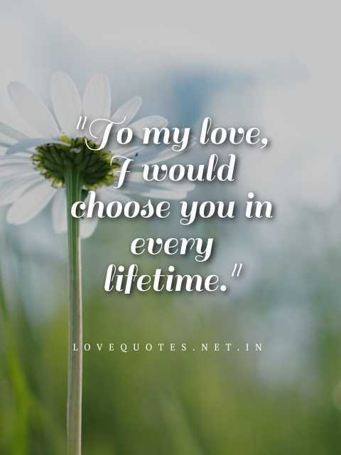 To My Love Quotes