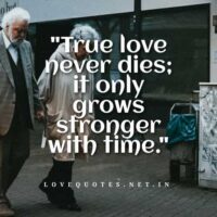 True Love Never Dies Quotes