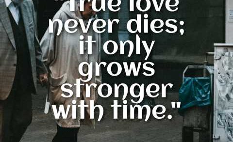 True Love Never Dies Quotes