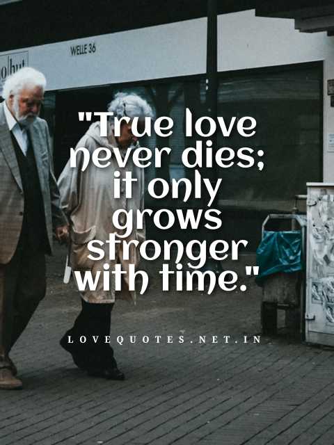 True Love Never Dies Quotes