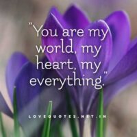 You're My Everything Quotes